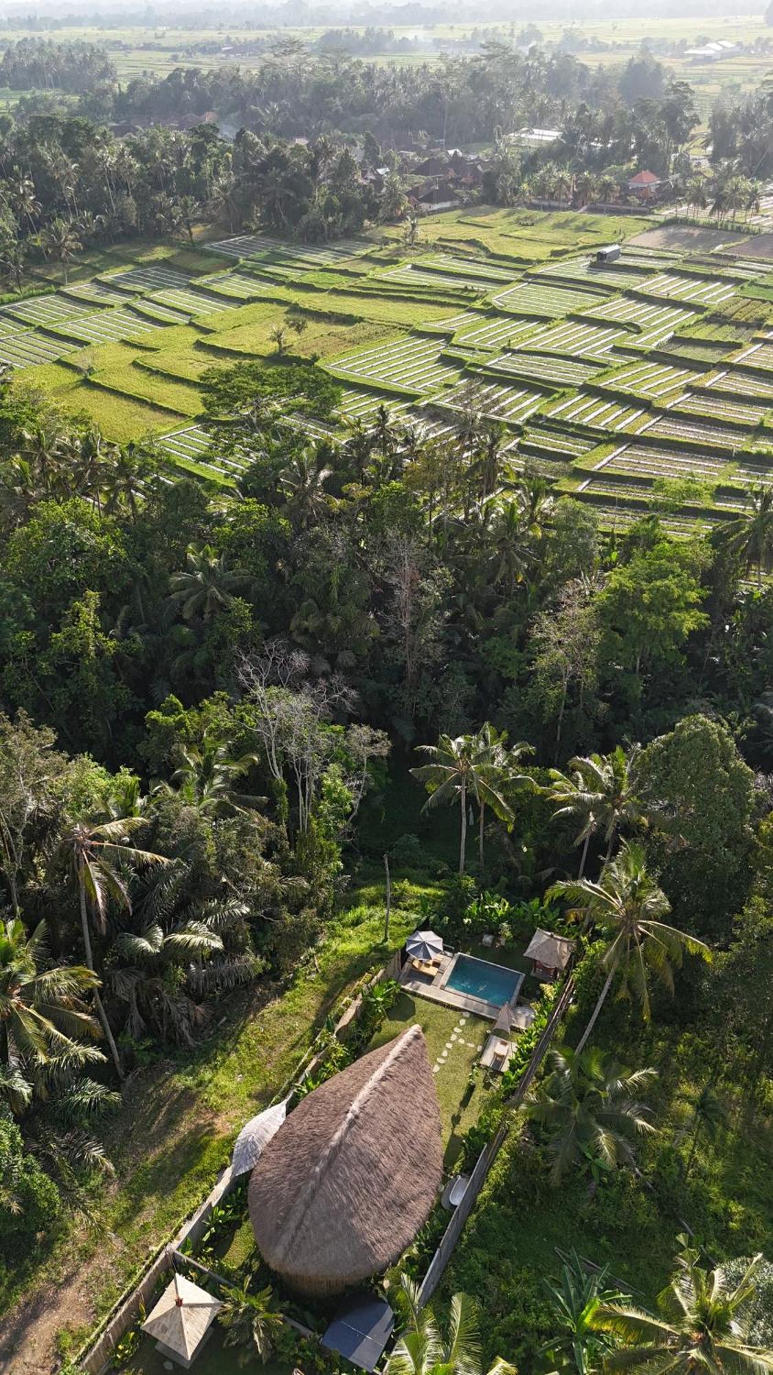 Pitu, A Punggul Village Escape Sangeh Eksteriør billede